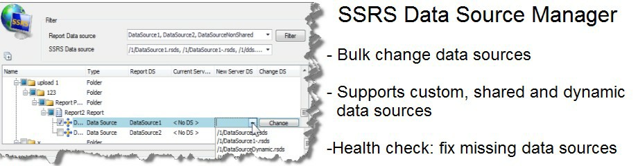 SSRS Data Source Manager Home Page Banner