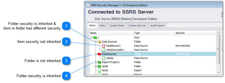 SSRS Security Differences