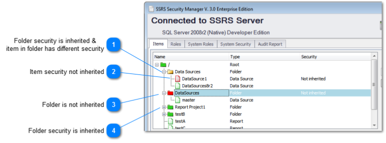 SSRS Security Manager explaining icon colours